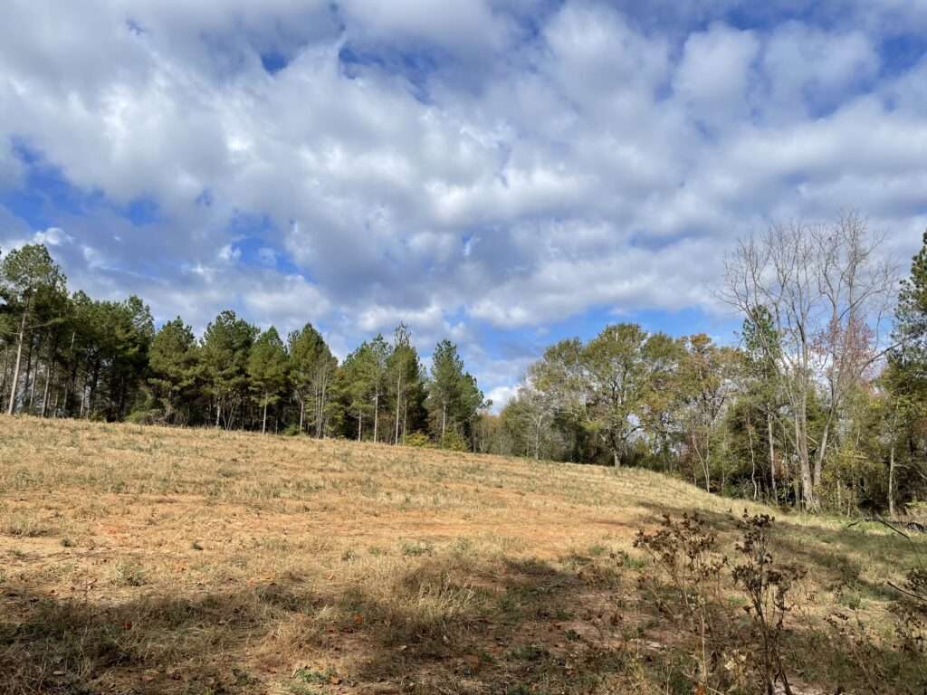 Scenic 60-acre property at 1775 Brown Road, Hephzibah, GA, featuring open land, wooded areas, and a pond, available for sale through Stratus Property Group.