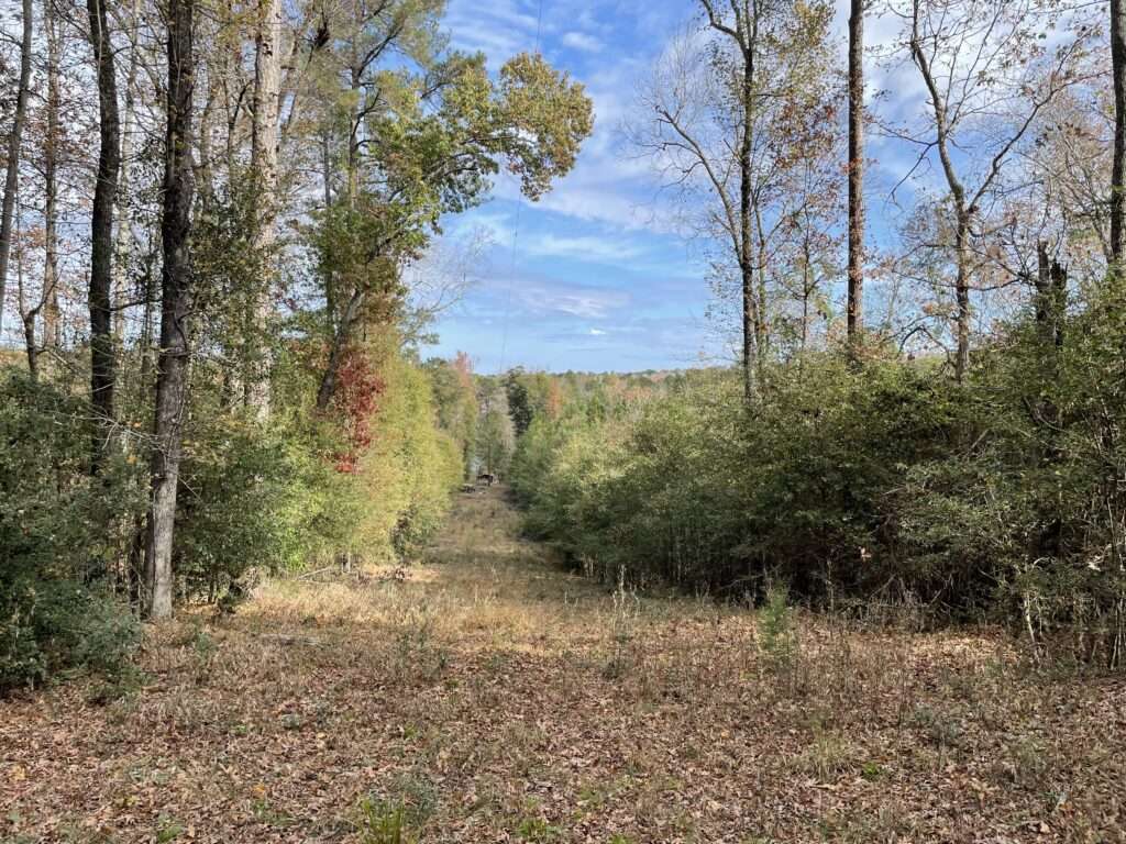 Scenic 60-acre property at 1775 Brown Road, Hephzibah, GA, featuring open land, wooded areas, and a pond, available for sale through Stratus Property Group.