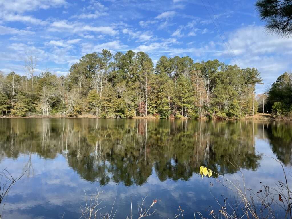 Scenic 60-acre property at 1775 Brown Road, Hephzibah, GA, featuring open land, wooded areas, and a pond, available for sale through Stratus Property Group.