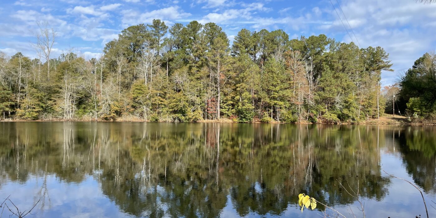 Scenic 60-acre property at 1775 Brown Road, Hephzibah, GA, featuring open land, wooded areas, and a pond, available for sale through Stratus Property Group.