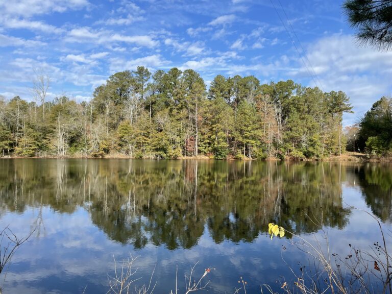 Scenic 60-acre property at 1775 Brown Road, Hephzibah, GA, featuring open land, wooded areas, and a pond, available for sale through Stratus Property Group.